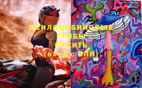 эйфоретик Липки