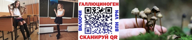 Купить где  Лукоянов  Псилоцибиновые грибы прущие грибы 